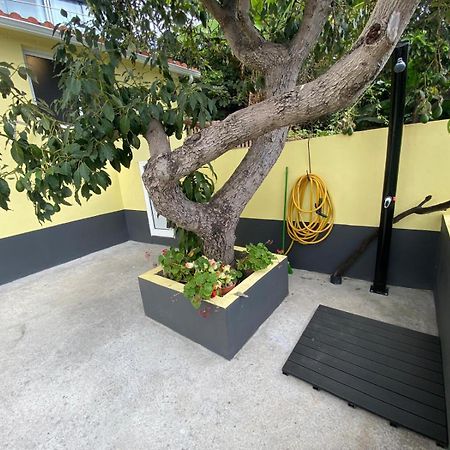 Quintinha Dos Reis Villa Funchal  Buitenkant foto