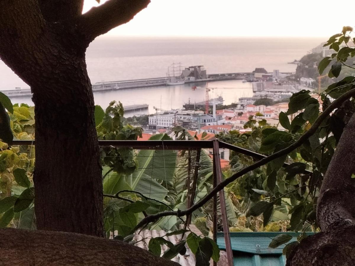 Quintinha Dos Reis Villa Funchal  Buitenkant foto